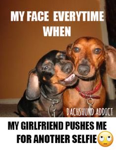 Weenie Dogs ❤️ (@weeniedogs4life) on Twitter photo 