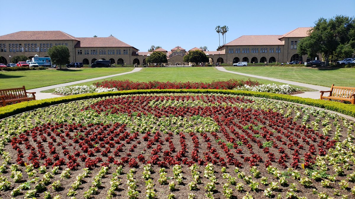 Attention all #anesthesiology #meded leaders: 📢 @stanfordanes is recruiting a new residency program director! For more info and to apply: facultypositions.stanford.edu/cw/en-us/job/4…