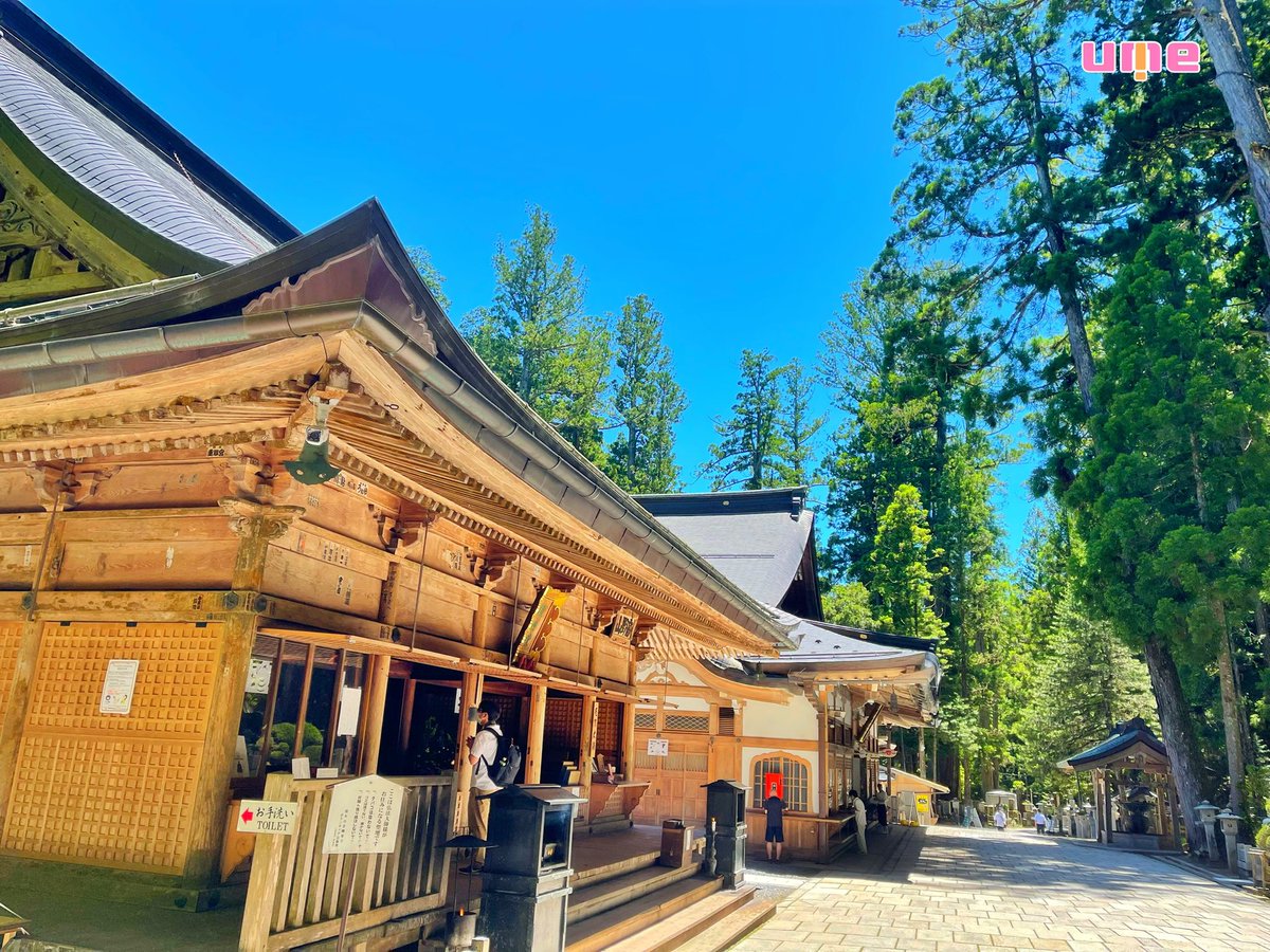 京都からバスでおよそ3時間 高野山 奥の院に到着！ 久々ですが、中々ですね😃 あとほんとに涼しい〜