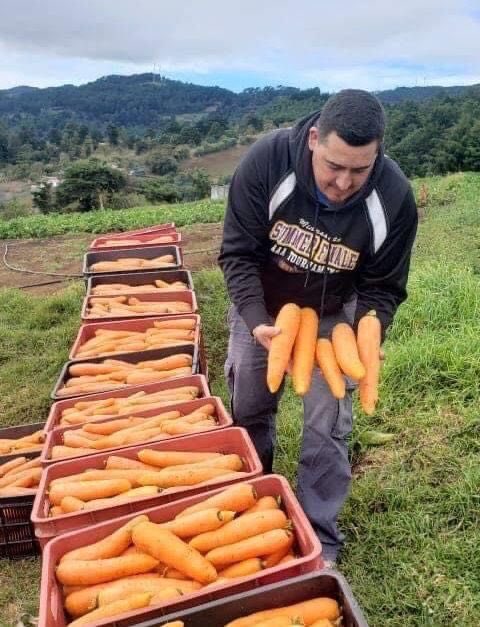 VidaChalateca's tweet photo. @aveotero @stacyherbert @ChalateMitico Our circular towns, agriculture and mountains https://t.co/EyrcTN0Xzi