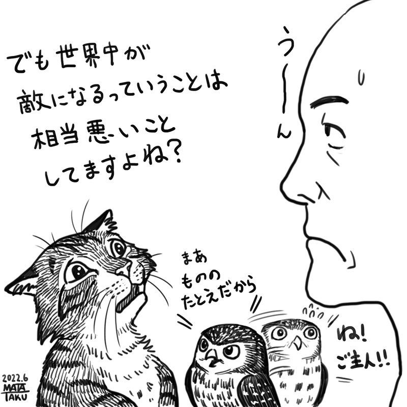 やっちゃった

 #猫フク 