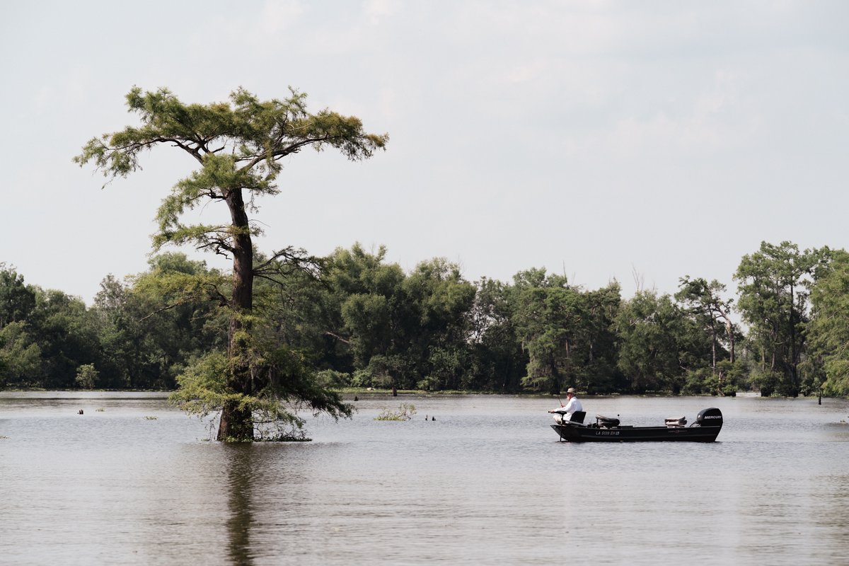 Alesha & Jarryd tweet media