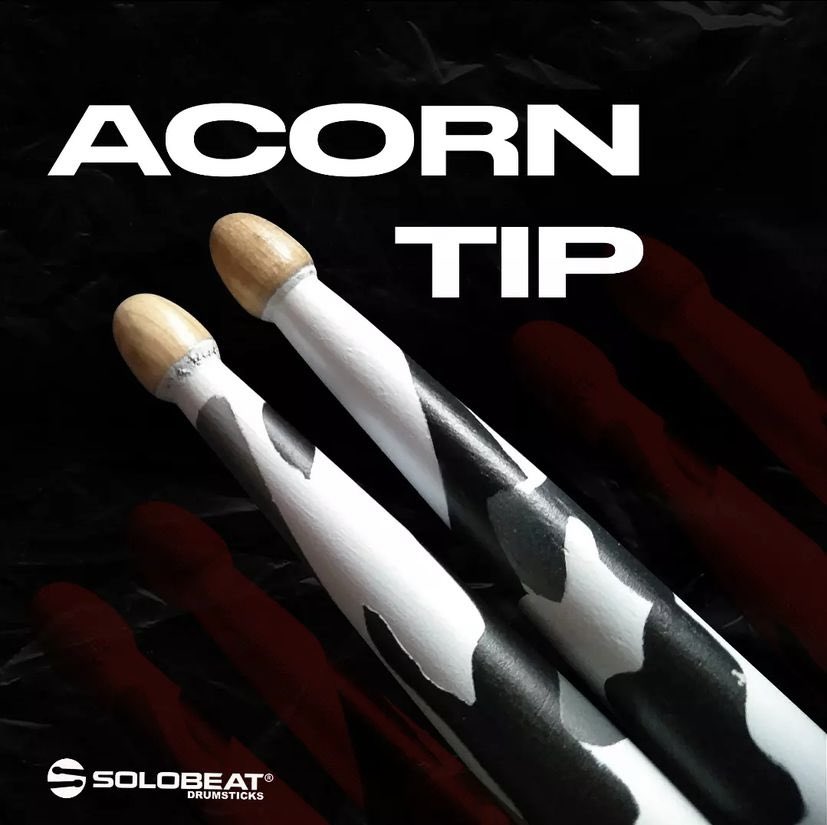 LUCA B DRUMS tweet media