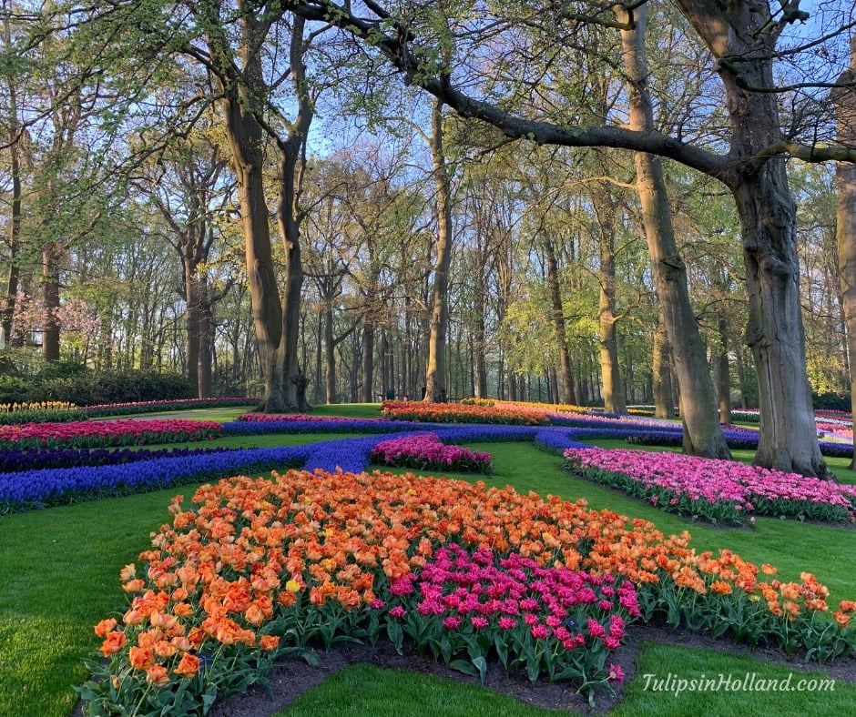 tulips_holland's tweet photo. Flowers made of flowers. Beautiful landscape in the Keukenhof garden during spring 🧡🌷 Wishing you a lovely Wednesday from Amsterdam!

#travel to the #tulipsinholland spring 2023 https://t.co/FKmeDYMGcf https://t.co/L3mZ5U8tNa