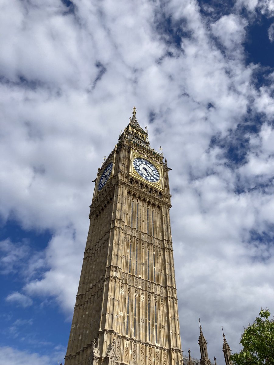 SBTS_PHD tweet media