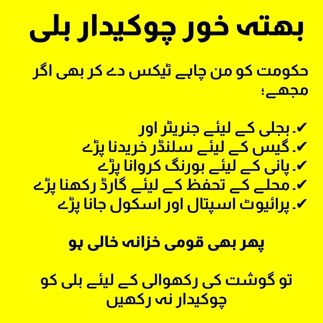 ahmedshaikhm's tweet image. بھتہ خور بلی: لوڈشیڈنگ

#letsconnect