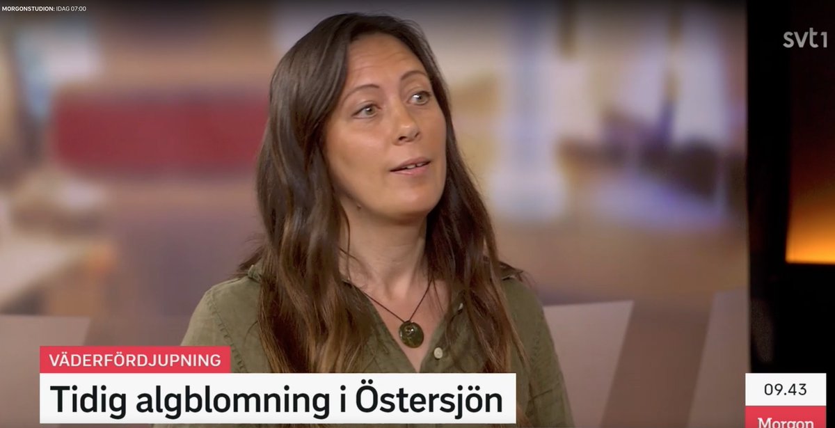 "Algblomningar med cyanobakterier kan bli vanliga även i Bottenhavet framöver." Marina ekotoxikologen Agnes Karlsson vid <a href="/deepsthlmuni/">DEEP at Stockholm University</a> <a href="/Stockholms_univ/">Stockholms universitet</a> lär dig känna igen giftiga cyanobakterier i SVT:s Morgonstudio. svtplay.se/video/35526381…