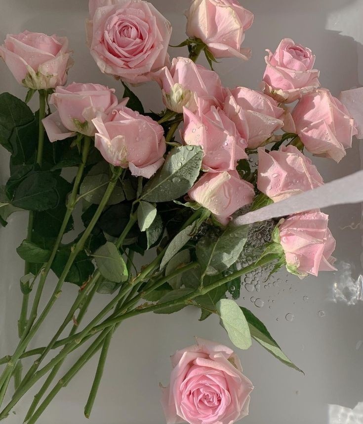 happy anniv <3 mahal ko kayo mwa kuha na lang kayo flowers eme