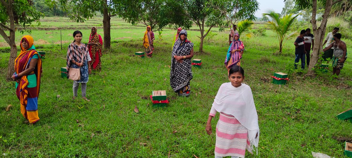 OLMGanjam's tweet photo. Distribution of Honey bee boxes &amp; Bee Colonies at different GPs of Sheragada &amp; Surada Block of Ganjam District. @DRDAGanjam @Ganjam_Admin @OLM_Antyoday @CMO_Odisha @mission_shakti @IPR_Odisha https://t.co/OwRfpWfv4c