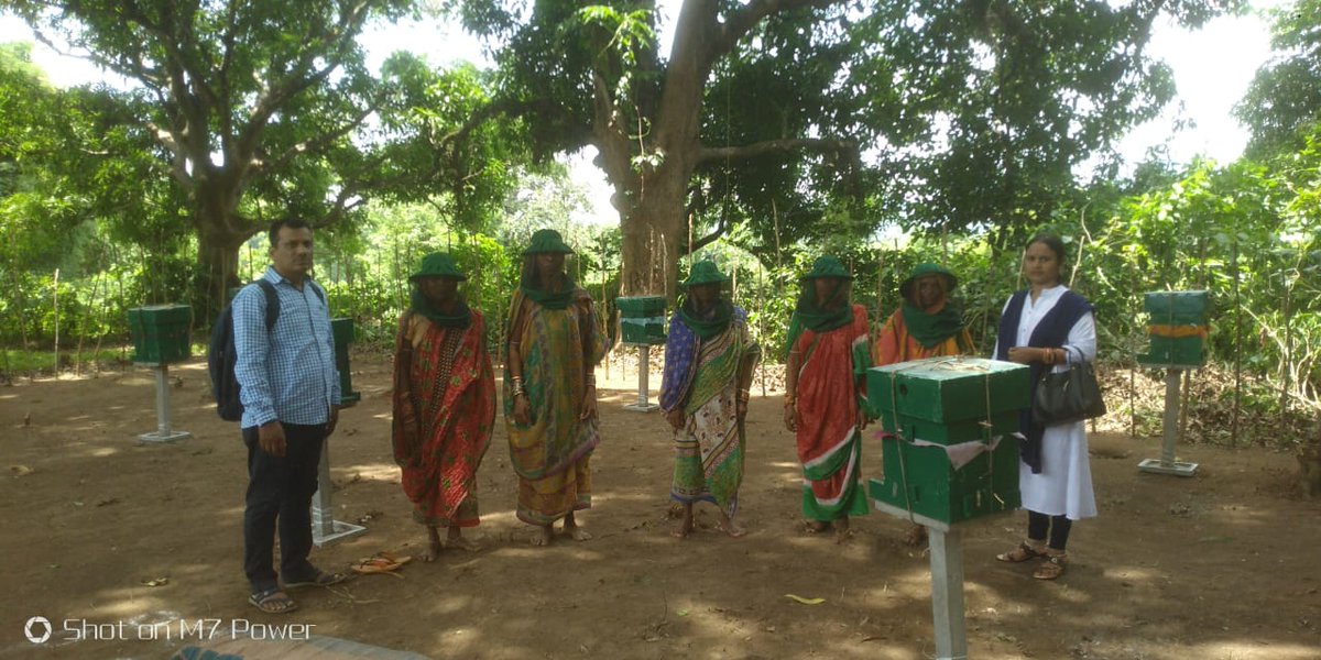 OLMGanjam's tweet photo. Distribution of Honey bee boxes &amp; Bee Colonies at different GPs of Sheragada &amp; Surada Block of Ganjam District. @DRDAGanjam @Ganjam_Admin @OLM_Antyoday @CMO_Odisha @mission_shakti @IPR_Odisha https://t.co/OwRfpWfv4c