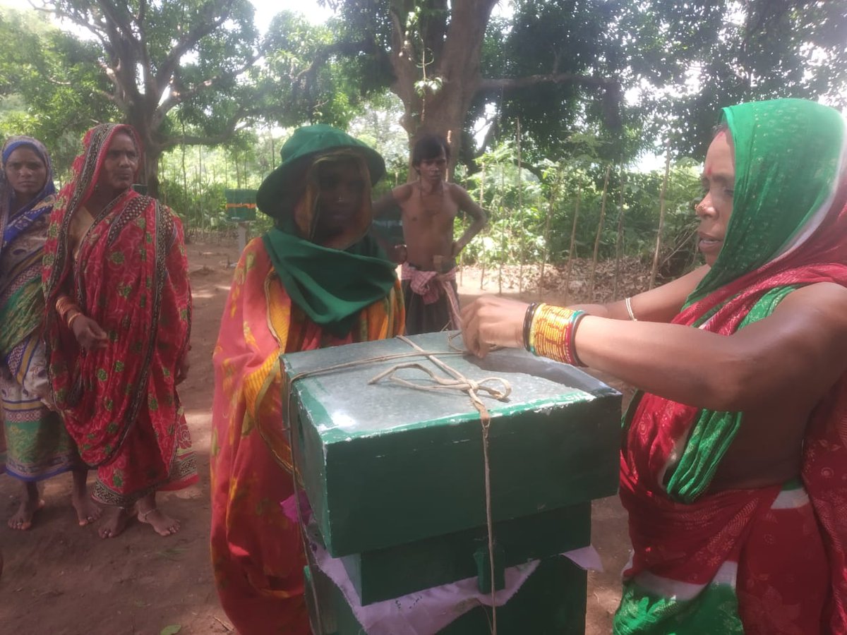 OLMGanjam's tweet photo. Distribution of Honey bee boxes &amp; Bee Colonies at different GPs of Sheragada &amp; Surada Block of Ganjam District. @DRDAGanjam @Ganjam_Admin @OLM_Antyoday @CMO_Odisha @mission_shakti @IPR_Odisha https://t.co/OwRfpWfv4c