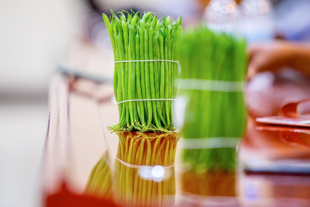 Do you need French beans? Think about <a href="/LtdExodus/">Exodus Farm Ltd</a> From 2018 we are giving you the best.