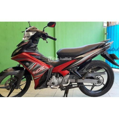 Dee 🇮🇩🇵🇸 tweet media