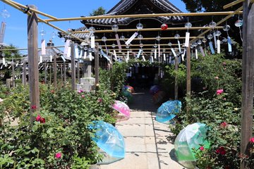 イベント 22年 おふさ観音で 2 500を超える風鈴が奏でる風鈴まつり ライトアップもあるよ 祈りログ 神社仏閣 御朱印 観光 映画