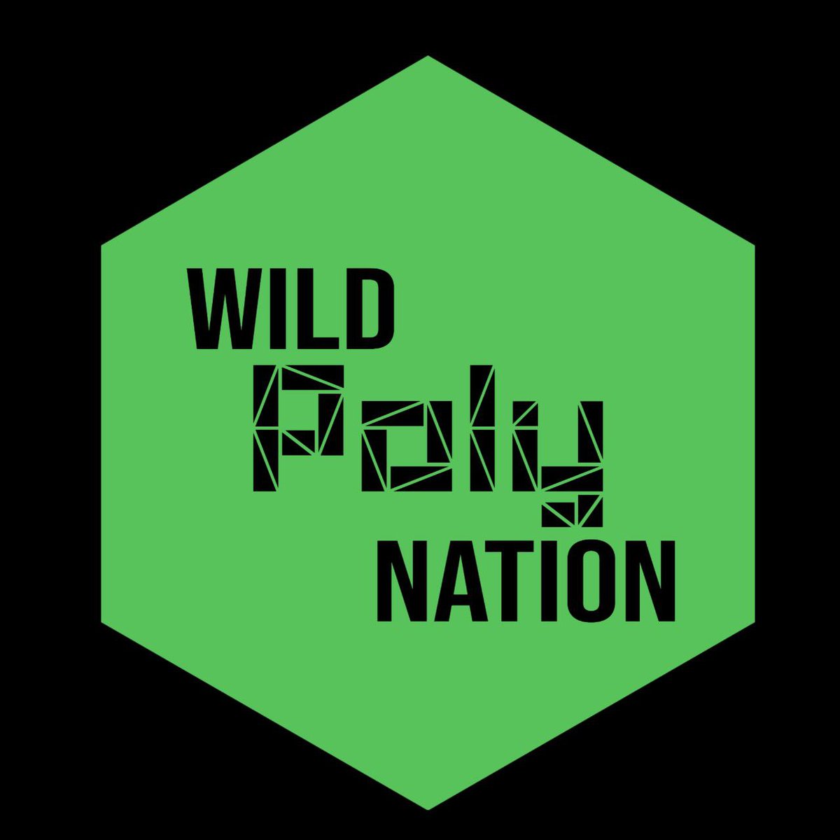 Wild Poly Nation NFT | SOL | tweet media