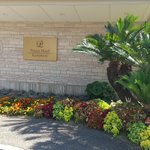 ツイートに含まれる画像