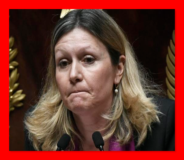 AmarilloLeones's tweet photo. "La femme serait vraiment l’égale de l’homme le jour où, à un poste important, on désignerait une femme incompétente" Françoise Giroud

Je vous présente Yaël Braun-Pivet-Benalla ci-devant, Présidente de l'Assemblée Nationale⤵️ https://t.co/Tu2K1eLwAt