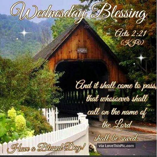 RiskyPeter's tweet photo. @loumay48 https://t.co/sWSbhVYDPI