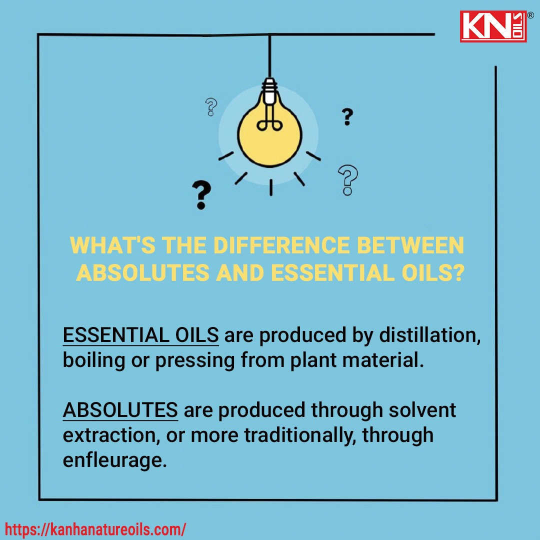 The Difference Between Absolutes and Essential Oils