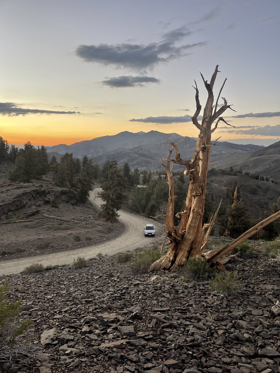 ed rader tweet media