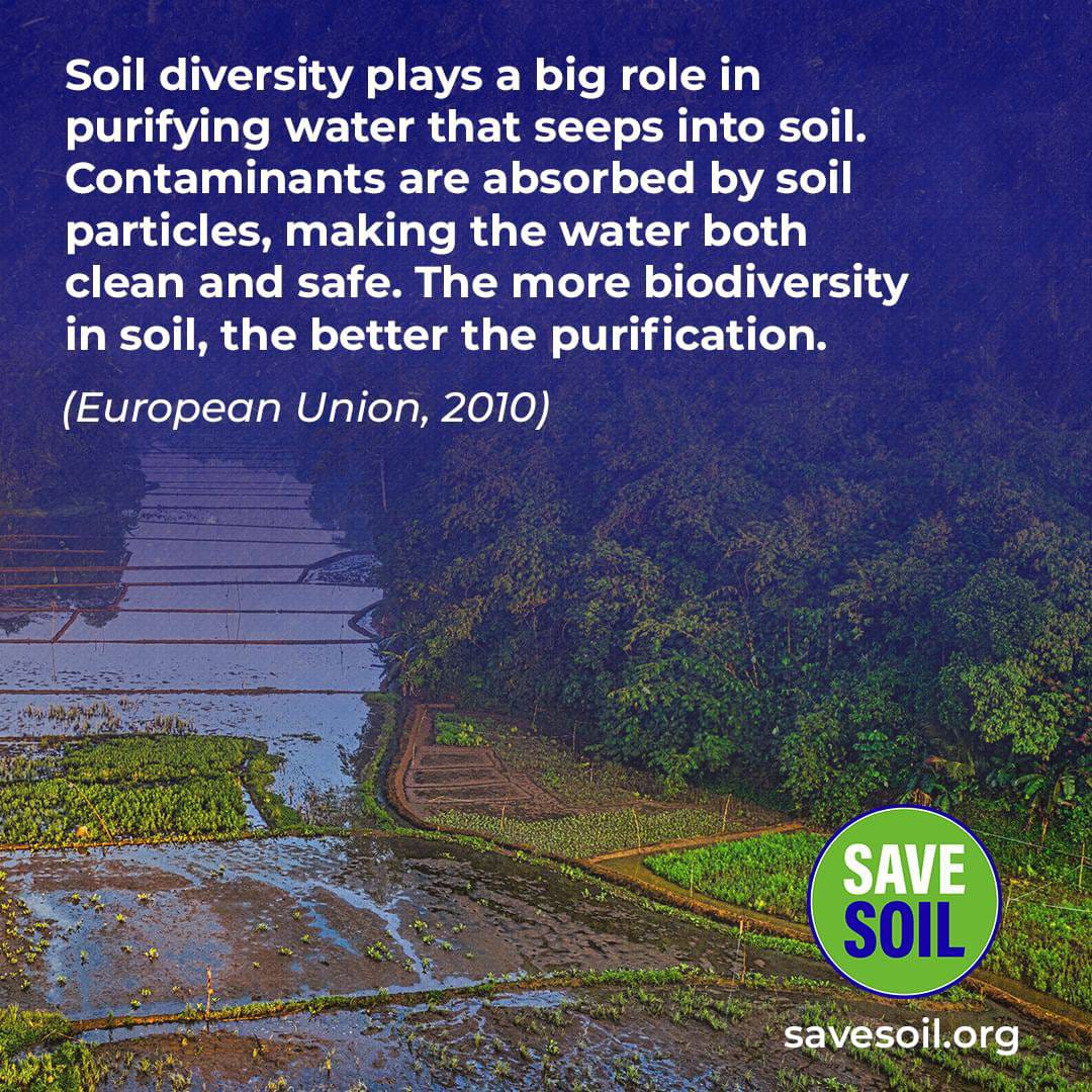 TamarinBedboro1's tweet photo. @cpsavesoil We are with you Sadhguru ๐ we bow down to you for your sacrifices and compassion for all life โค
#ConsciousPlanet #savesoil #sadhguru #consciousplanet #journeyforsoil #100daysofsoil #letusmakeithappen https://t.co/6xhsdmCnec