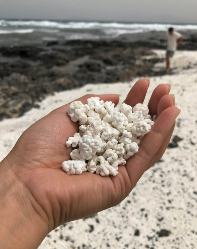 SesssizHarf's tweet photo. Son Dakika ...
6 Milyar dolarlık Jelibon rezervinden sonra Yüce rabbim Ülkemize  yağdırıyor...
Gökten Patlamış Mısır ( popcorn ) yağıyor...
Sinema severlerin, Netflix ,  Disney Plus 'ın vazgeçilmezi için ağzınızı açıp göğe bakın... https://t.co/8jgOE42u90