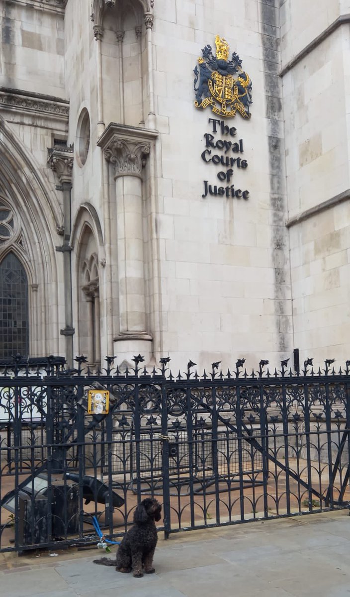 Winnie’s first <a href="/londonlegal/">London Legal Support Trust</a> walk was a huge success 🖤🥇🐕‍🦺