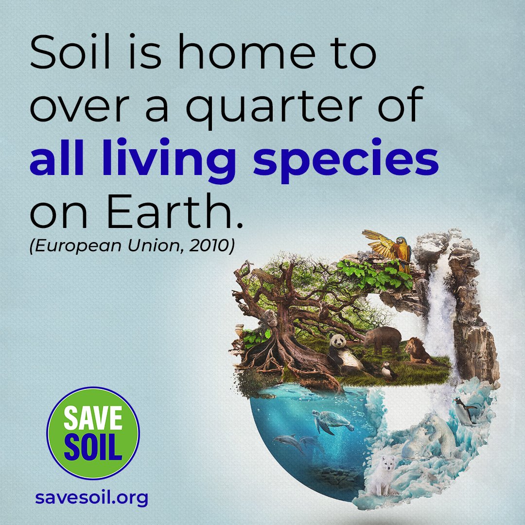 TamarinBedboro1's tweet photo. @cpsavesoil We are with you Sadhguru ๐ we bow down to you for your sacrifices and compassion for all life โค
#ConsciousPlanet #savesoil #sadhguru #consciousplanet #journeyforsoil #100daysofsoil #letusmakeithappen https://t.co/RsYHjYCx3z