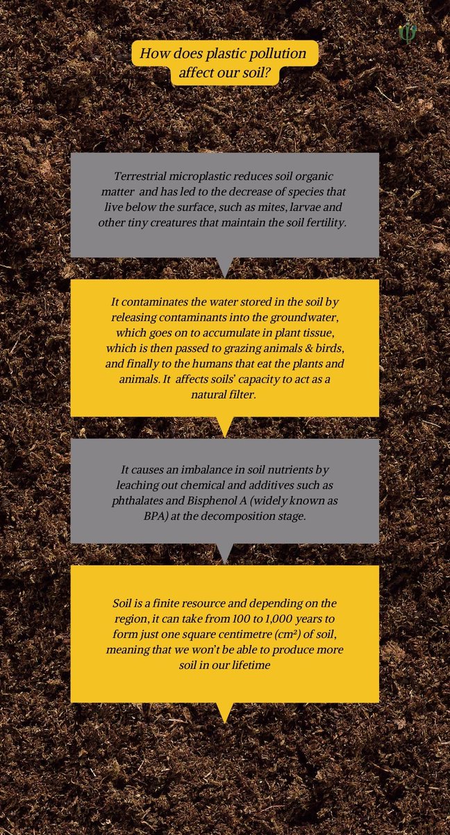 taictrust's tweet photo. Plastics take 1000s of years to decompose.
They end up in landfills, infiltrate our ecosystem & endanger our biodiversity.
Plastics are now found in plant and animal tissue and have in our food chain.
#SaveSoil #StopSoilPollution #Ecogram #Bangalore #StopPlasticPollution https://t.co/WoEcpX3OLZ