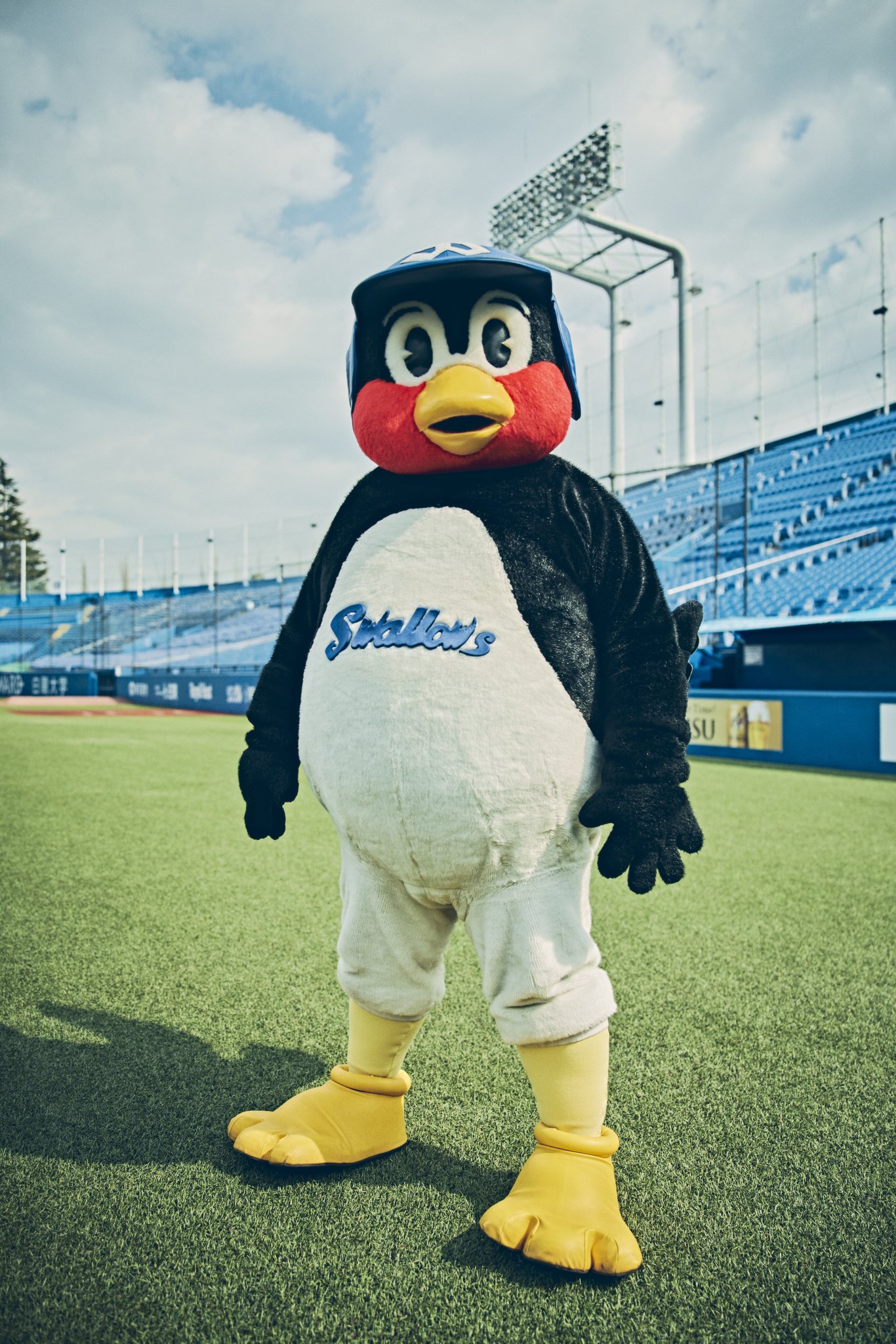 東京ヤクルトスワローズ公式 on X: 