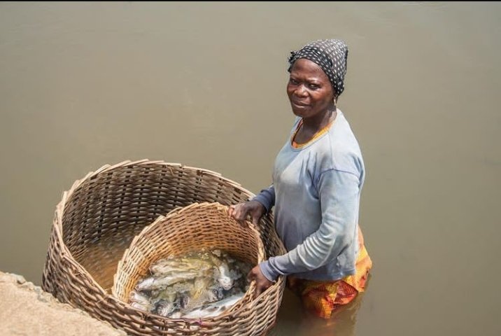 backupota's tweet photo. Chronicles of Oluwo Fish Market Epe
The market is the biggest seafood market in Lagos and as well has turned into one of the foremost tourist attractions in Lagos... 

Awon Iya Eleja ( Fishmongers ). https://t.co/J5Urs7kINk