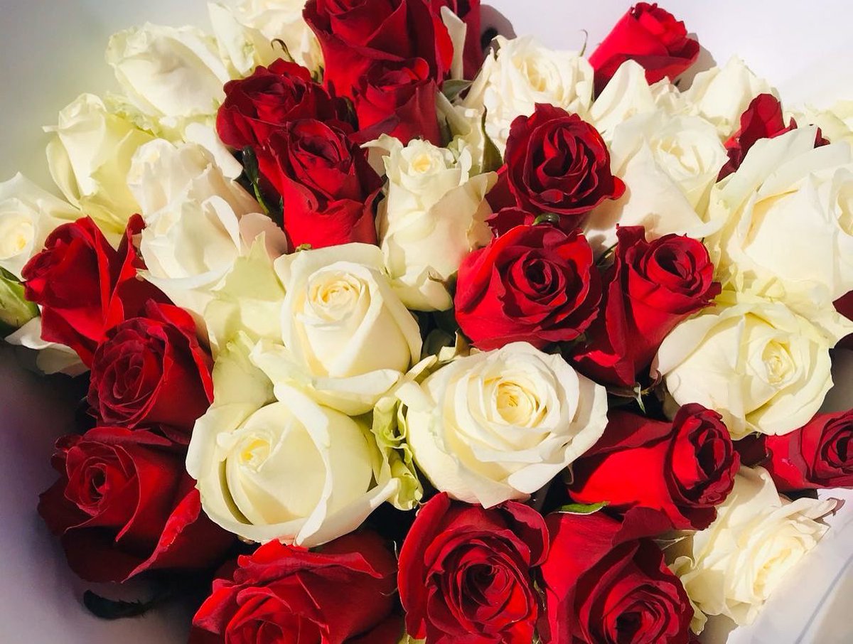 cairotheflorist's tweet photo. Fresh flowers for all occasions with free delivery around gauteng 📍WhatsApp or call 0658666941 -cairo_the_florist on Instagram #GirlTalkZA #GirlsTalkZA #GirlzTalkZa #Mamkhize #SkKhoza #LoadsheddingStage6 #sithelo #leratokganyago #BhekiCele #AndileMpisane #Apartheid #KellyKhumalo https://t.co/SF6EraRLHA