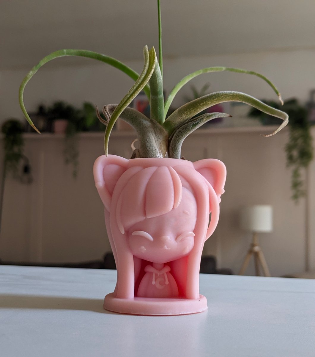 Zach Bush tweet media