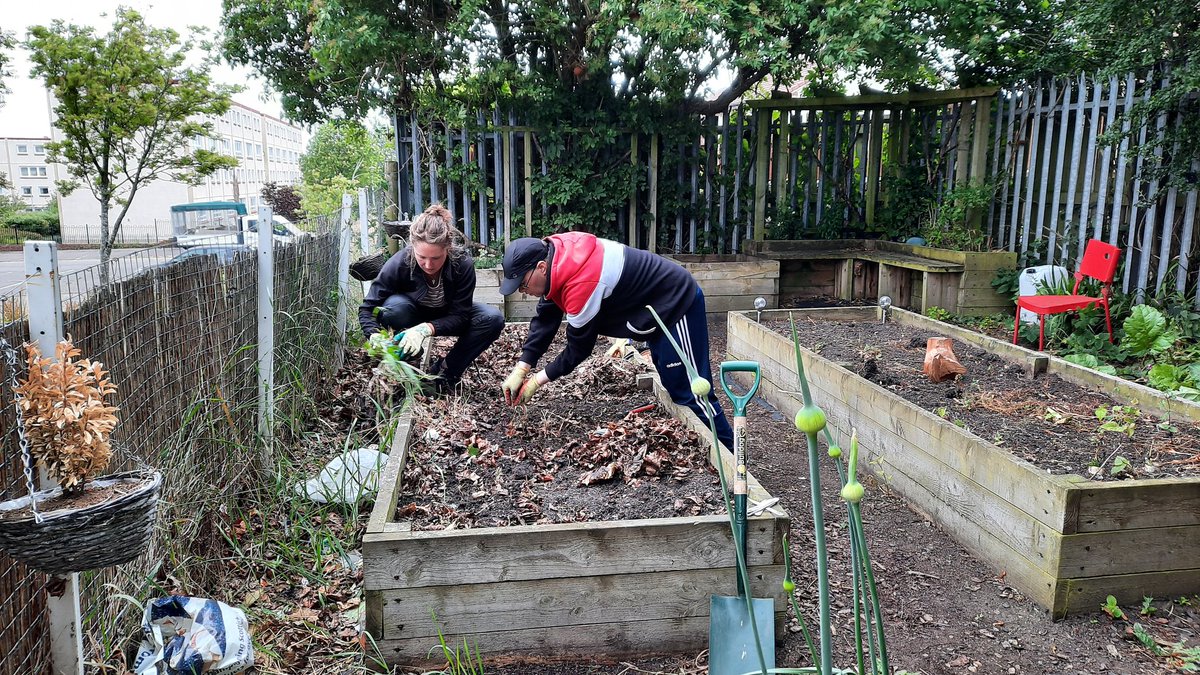 greenspacetrust's tweet photo. We have been busy in the allotment at Moredun today, getting tidied up for some new compost, to get new seeds sown 😊 #communitygarden #growyourown #Wellbeing #makingithappen https://t.co/MfJGmuAqiP