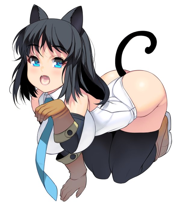 ムチムチ猫さん 