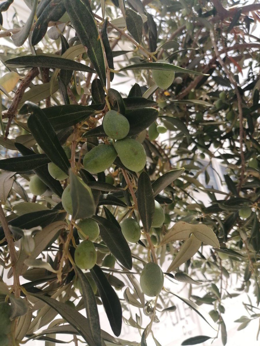 mounir bouali (@mounirbouali007) on Twitter photo 