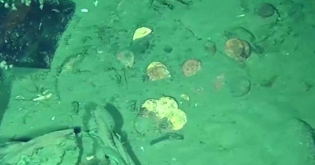 GrandRapidsCoin's tweet photo. New video shows gold coins and treasure from "holy grail" of shipwrecks #coindiscoveries #foundtreasure 
https://t.co/fqW28mhSbc https://t.co/78PGMEWhHK