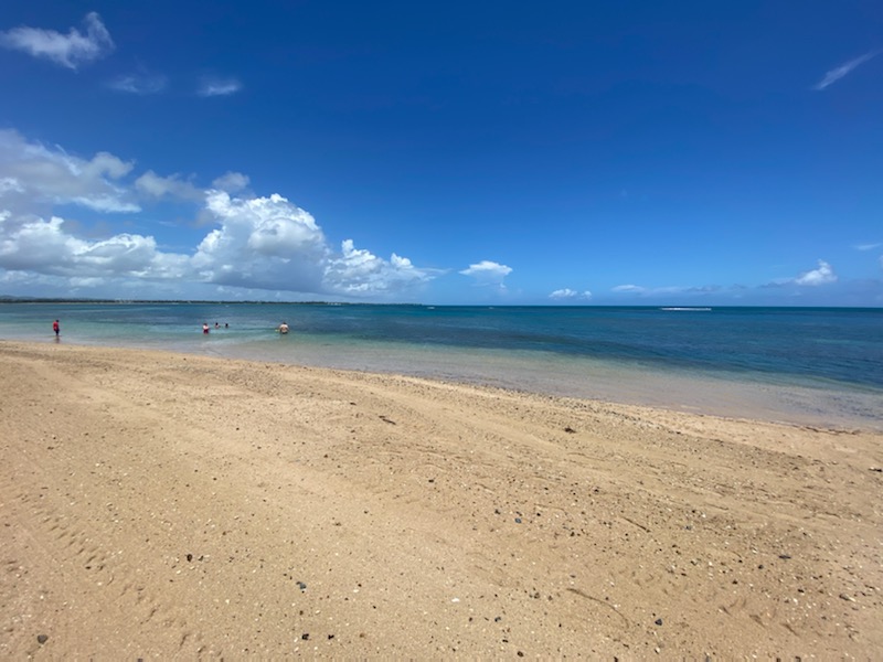 Jimmy Lennon Jr tweet media