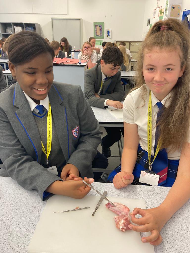 DeaneryScience's tweet image. Year 7 get to grips with the topic of movement. They dissected a chicken wing to identify the skin, muscles, tendons, ligaments, cartilage, fat and blood vessels. So much fun! @deaneryhigh