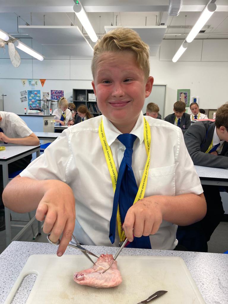 DeaneryScience's tweet image. Year 7 get to grips with the topic of movement. They dissected a chicken wing to identify the skin, muscles, tendons, ligaments, cartilage, fat and blood vessels. So much fun! @deaneryhigh