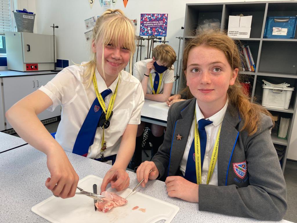 DeaneryScience's tweet image. Year 7 get to grips with the topic of movement. They dissected a chicken wing to identify the skin, muscles, tendons, ligaments, cartilage, fat and blood vessels. So much fun! @deaneryhigh