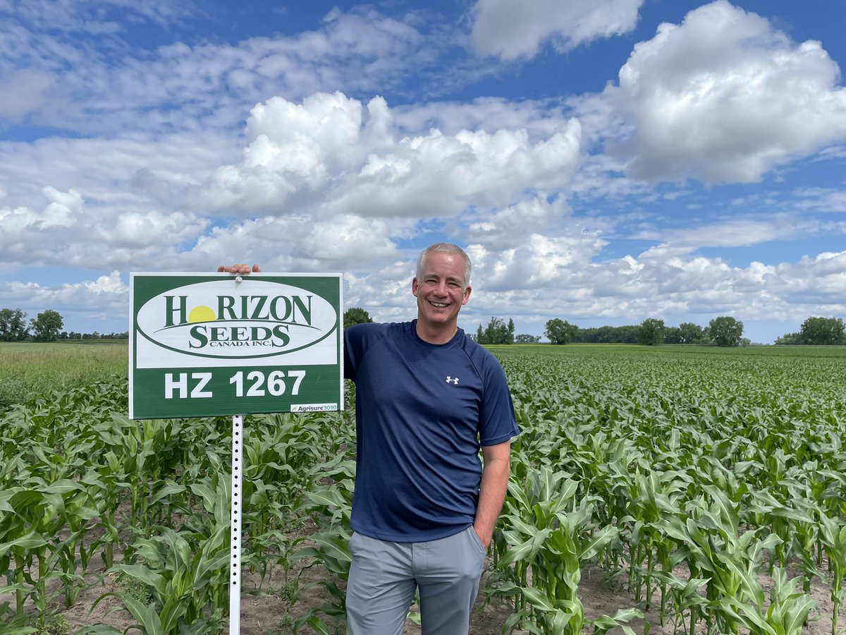 SevitaWest's tweet photo. The @HORIZON_SEEDS early season workhorse is impressing @chrisunger1974 this year with adequate moisture. #RaisingOurCorn https://t.co/0aAZxGI3lG