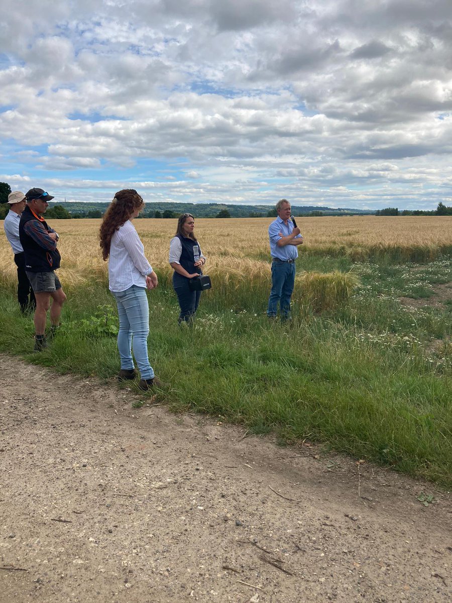 Chloe Timberlake (@chloeandwilf) on Twitter photo Great afternoon listening and learning at the local #monitorfarm event at Sydenham Grange <a href="/AHDB_Cereals/">AHDB Cereals</a> Great afternoon listening and learning at the local #monitorfarm event at Sydenham Grange <a href="/AHDB_Cereals/">AHDB Cereals</a>