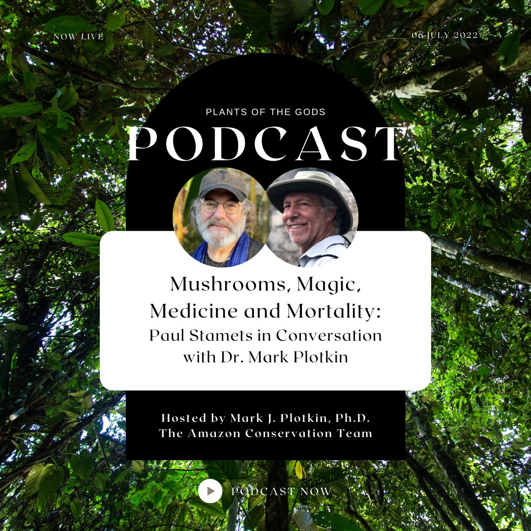PlantsofGodsPod's tweet photo. The #PlantsoftheGodsPod S3E5 special episode, "Mushrooms, Magic, Medicine and Mortality: Paul Stamets in Conversation with Dr. Mark Plotkin," is out now! https://t.co/7OL20RThOq
#magicmushrooms #microdosing #ethnobotany #mycology #GordanWasson #TinaWasson #psilocybin #ideogen https://t.co/GZeoM7Es4g