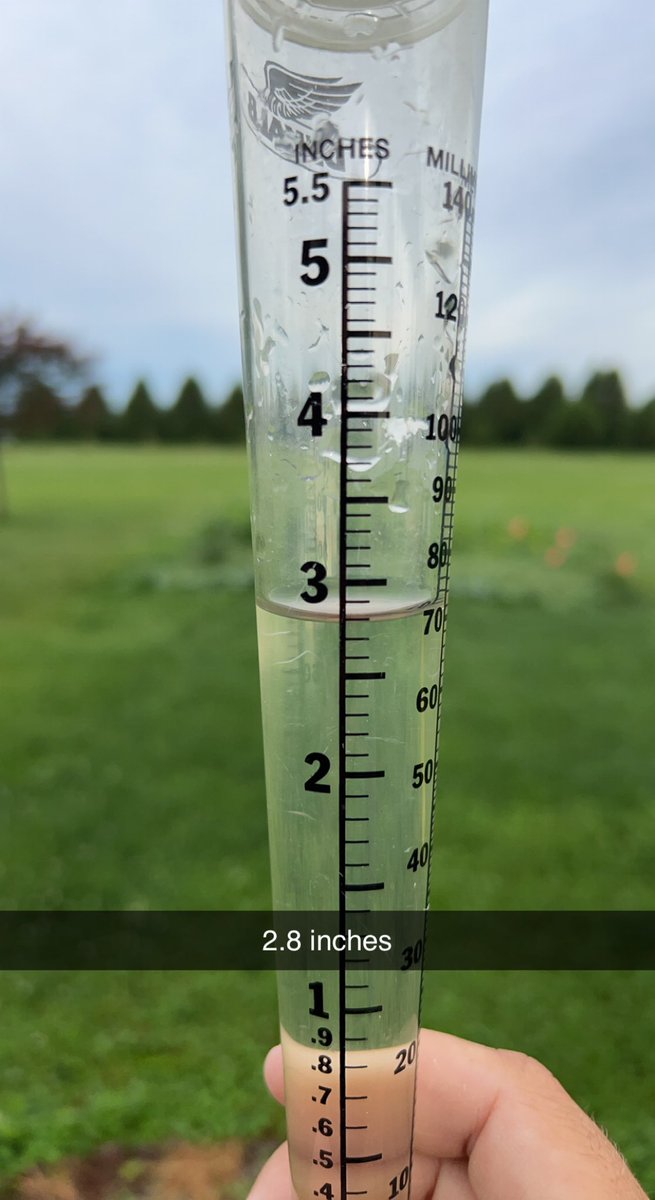 Last nights rain.  Not much wind.