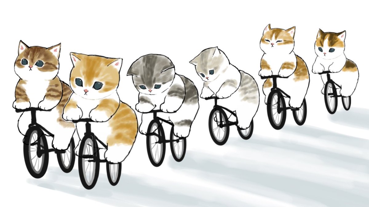 no humans cat bicycle animal focus ground vehicle white background simple background  illustration images