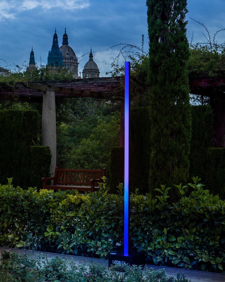 Protopixel tweet media