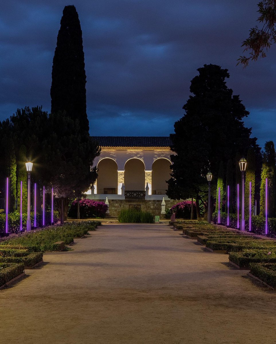 Protopixel tweet media