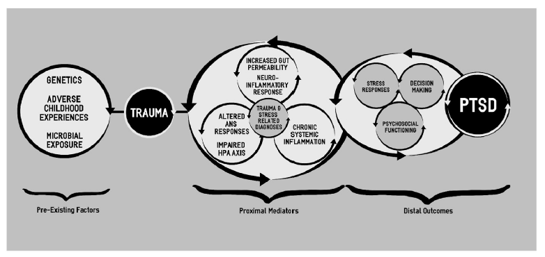 LisaABrenner's tweet photo. Exploring novel means to address symptoms of #PTSD #Veterans an immunomodulatory probiotic intervention https://t.co/QYIvYeepah @MVM_CoRE https://t.co/WYMbv8INIR