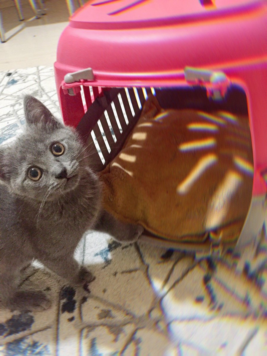 Annemmm! 💝 bakışlarında hayat bulduğum..